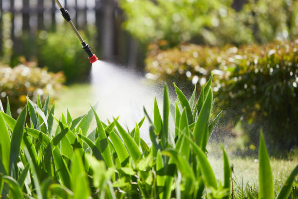 24/7 Emergency Termite Control experts in Fall City, WA