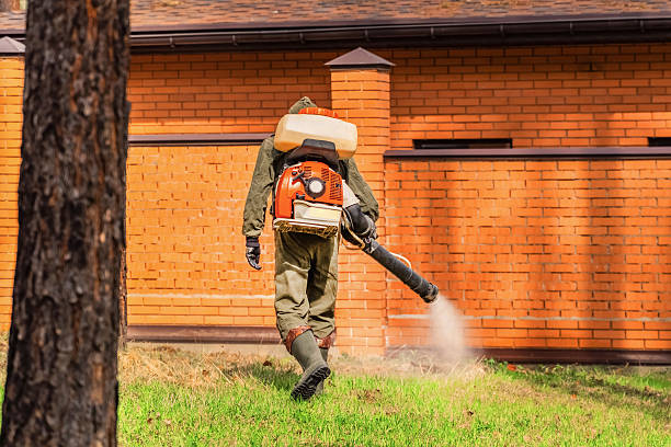 Trusted Termite Control service in Fall City, WA - Nex Pest Control
